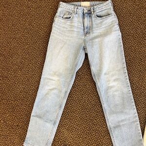 Everlane Curvy Cheeky Jean